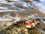 06oct23_RIVER WATER-03