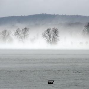 20mar20_fleeing fog