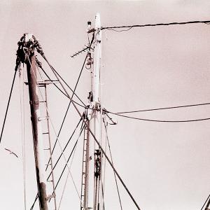 ptown sails02.1986.002