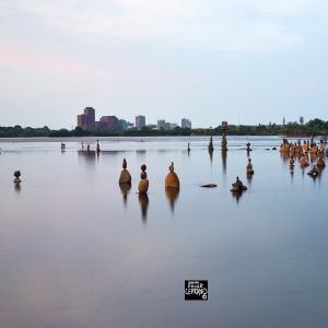 04aug14_Ottawa BAWI 2014