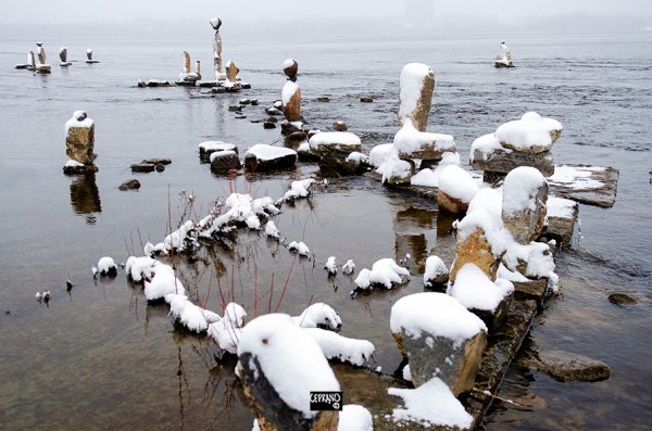 04dec24_Nature is the ruler of balance
