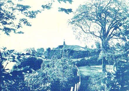 nepean-point cyanotype1985