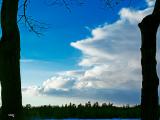 21feb21_Cloud framed by trees