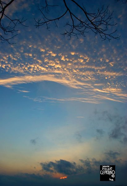 Cloud rings 2012