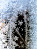 Window ice crystals_2018