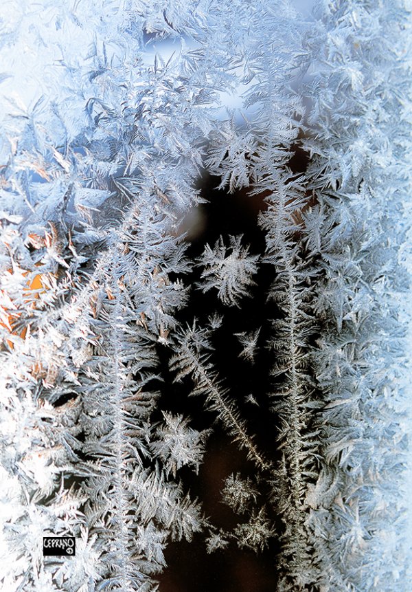 Window ice crystals_2018