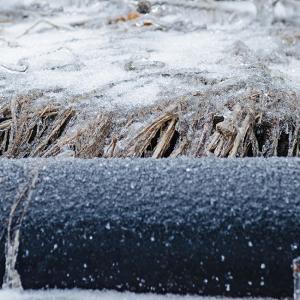 05apr23_ice storm @ Karl Ciesluk' garden 