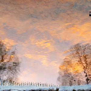 Watery reflections-Dec 2023