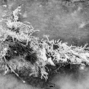 crystal bouqet_dec 2024