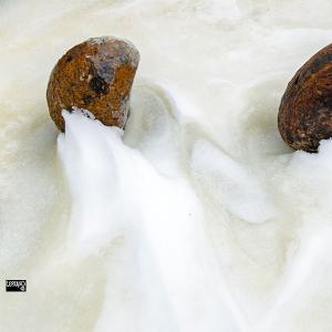 Snow sprites on stone_dec 2025