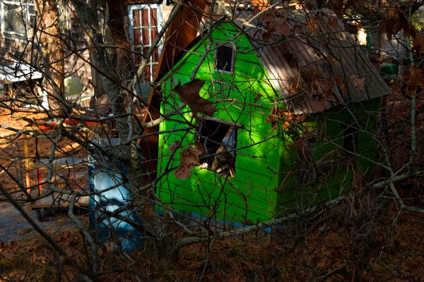 GREEN SHACK   2009