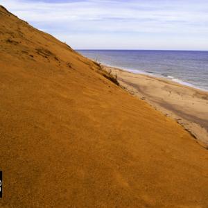 NORTH TRURO NOV 2009