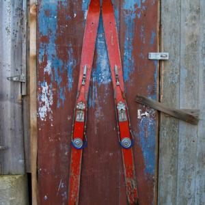 RED DOOR 2009