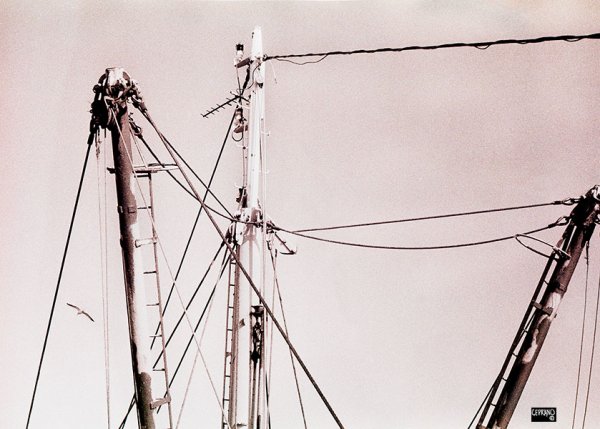 ptown sails02.1986