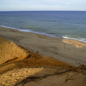 shadows-in-the-sand 2009