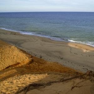 shadoes-in-the-sand