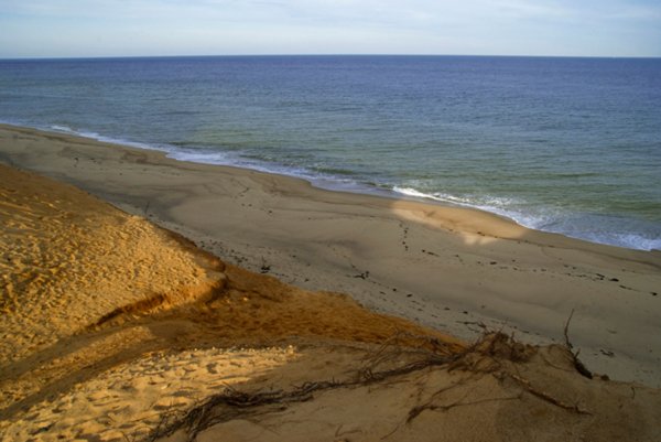 shadoes-in-the-sand