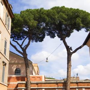 strada vaticano 