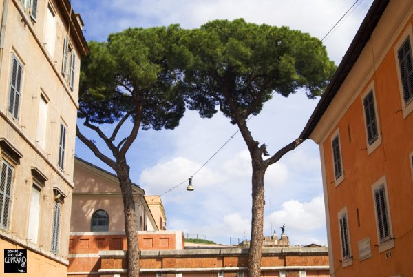 strada vaticano 