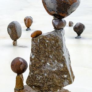 il professore Dec 2025