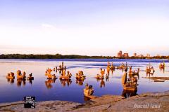 2009: Fractal-Nature